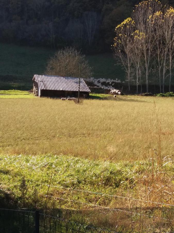 Les Trois Prunelles
